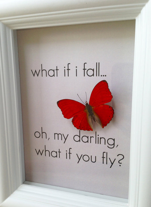 Real red Cymothoe sangaris butterfly with an inspirational quote in a 5x7 shadow box