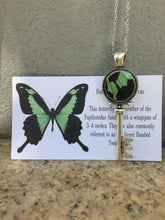 Load image into Gallery viewer, Real Butterfly Wing Skeleton Key Necklace Pendant - Papilio Phorcas
