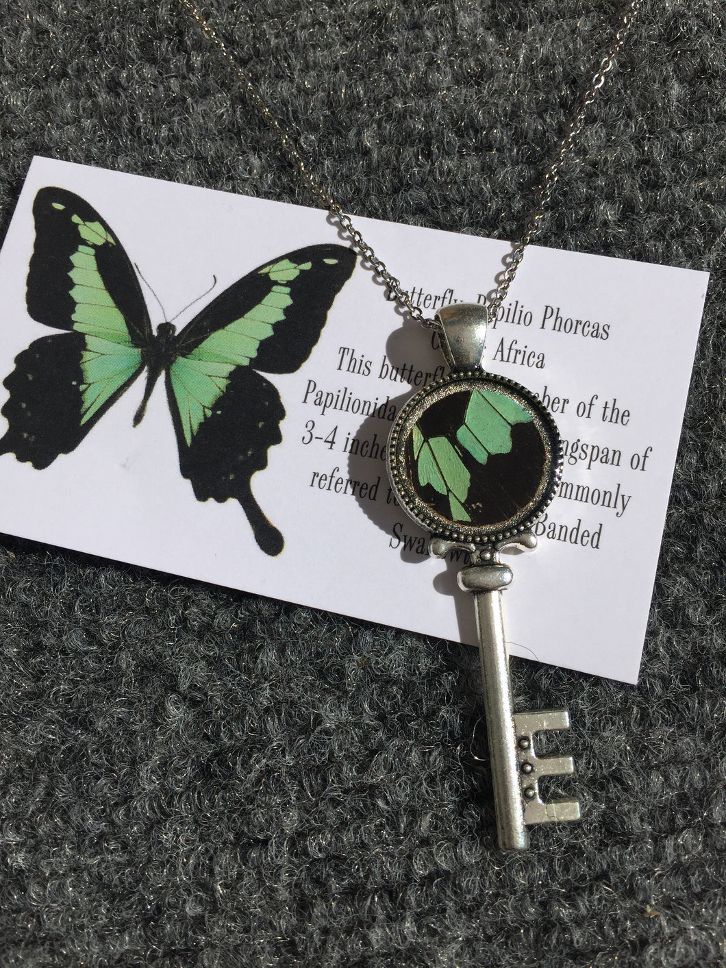 Real Butterfly Wing Skeleton Key Necklace Pendant - Papilio Phorcas