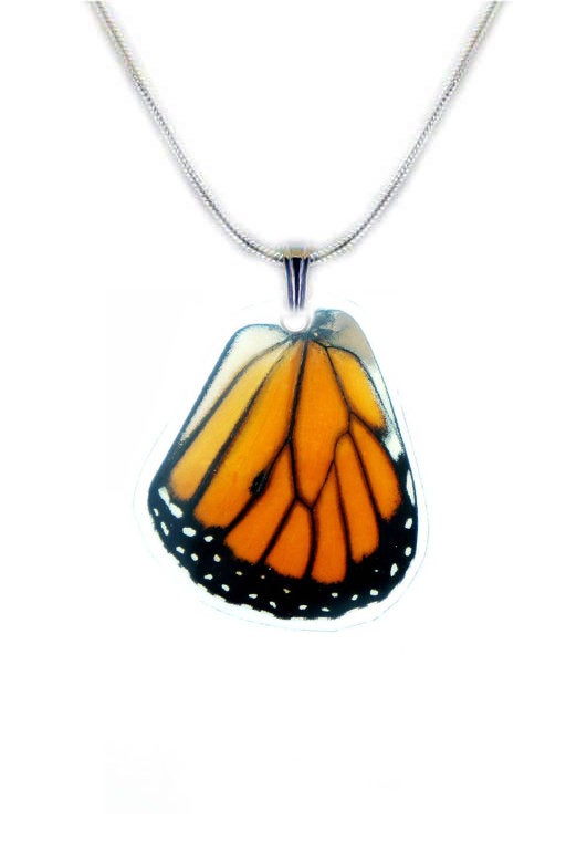 Real Monarch butterfly hindwing necklace