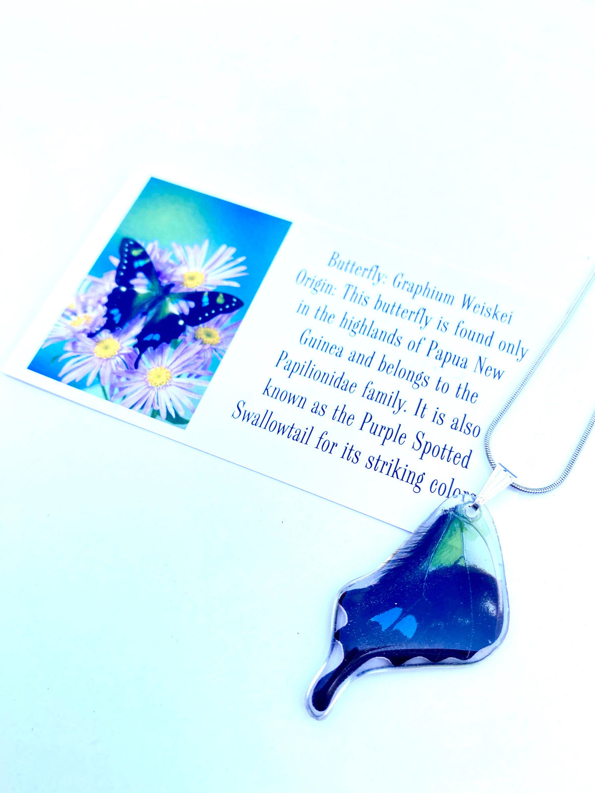 Graphium weiskei wing necklace, additional view