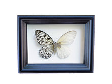 Load image into Gallery viewer, 5x7 Mixed Media Steampunk Butterfly Shadow Box - Rice Paper With Scales Removed
