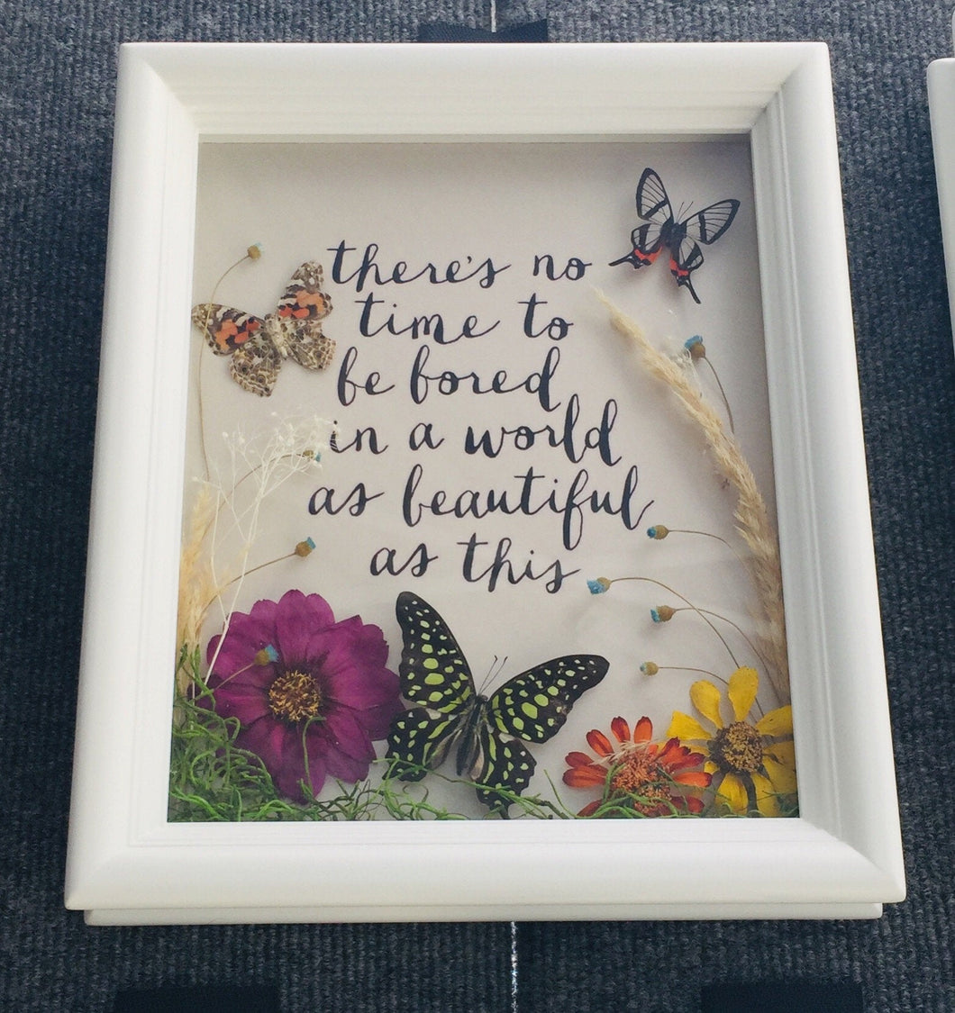 8x10 Real Butterflies With Quote - No Time To Be Bored