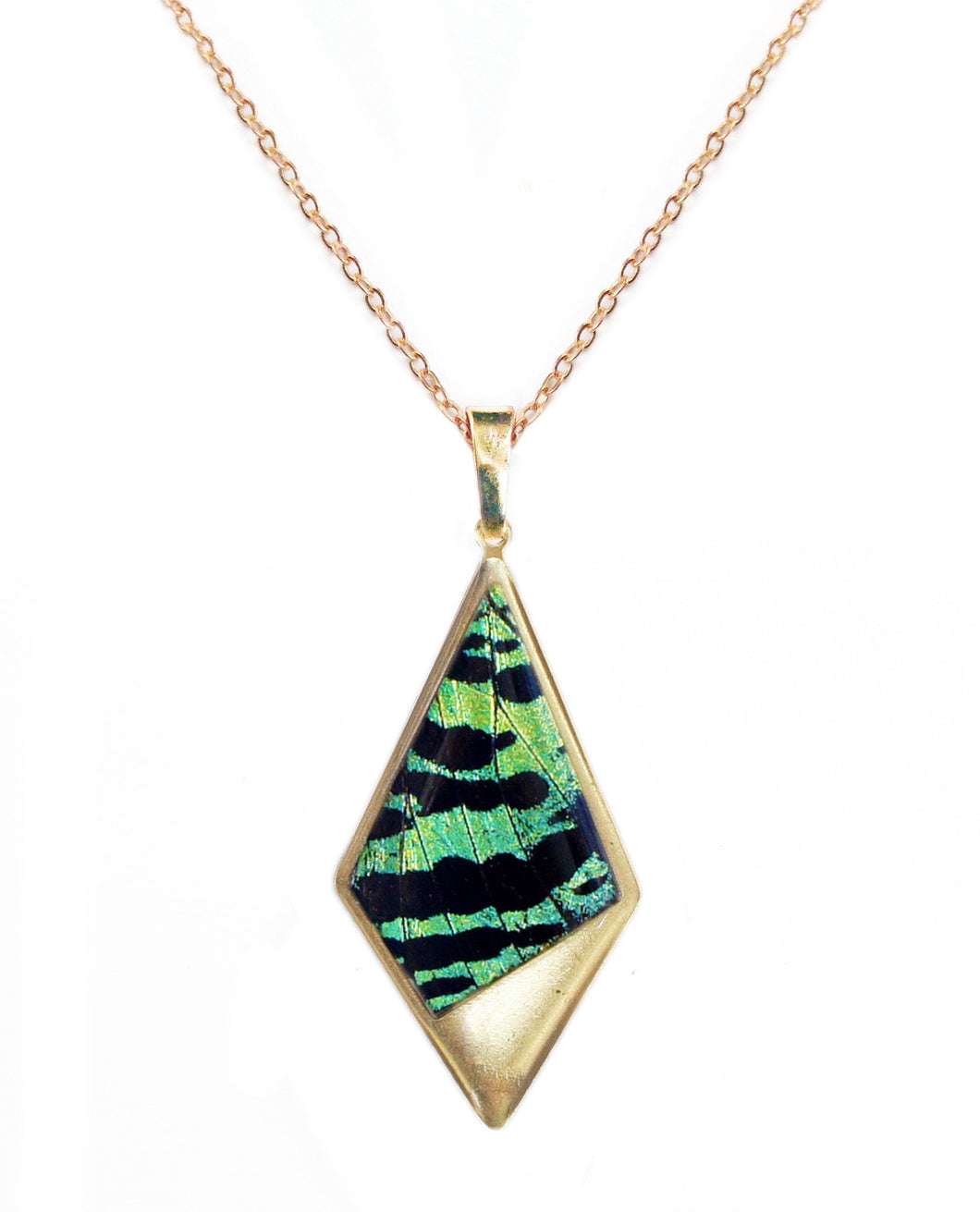 Real Butterfly Wing Kite Pendant Necklace - Green Sunset Moth Forewing