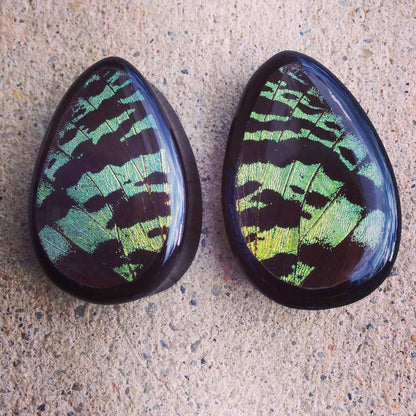 Green Sunset Moth teardrop plugs, detail view