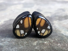 Load image into Gallery viewer, Real Butterfly Wing Teardrop Plugs 1/2&quot;-1 1/2&quot;- Monarch Forewing - Body Jewelry, Gauges, Teardrop Plugs
