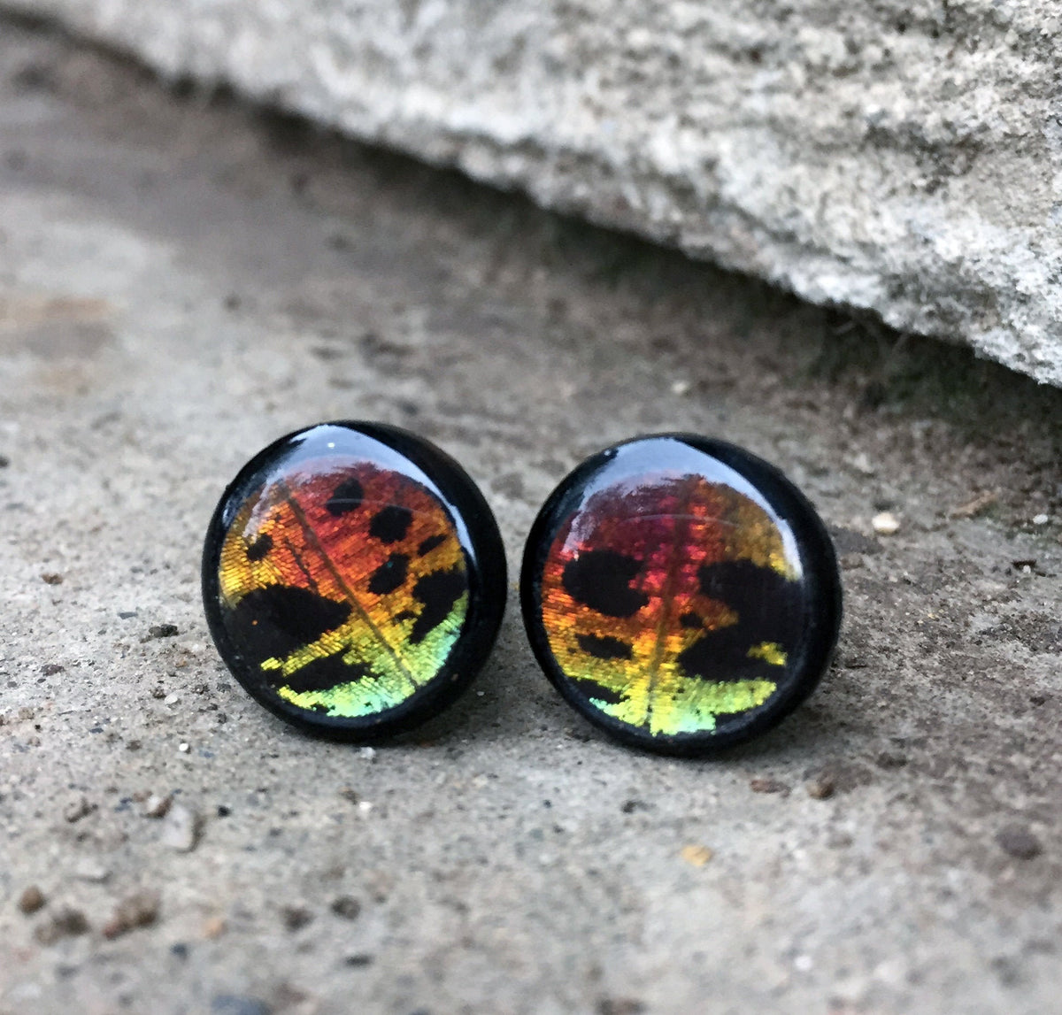 Real rainbow Sunset Moth wing Mayan flare wood plugs, 2G to 00G