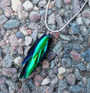 Real Beetle Wing Necklace