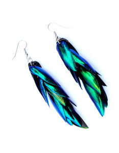 Real Beetle Wing Earrings - (3.5" long - medium size)