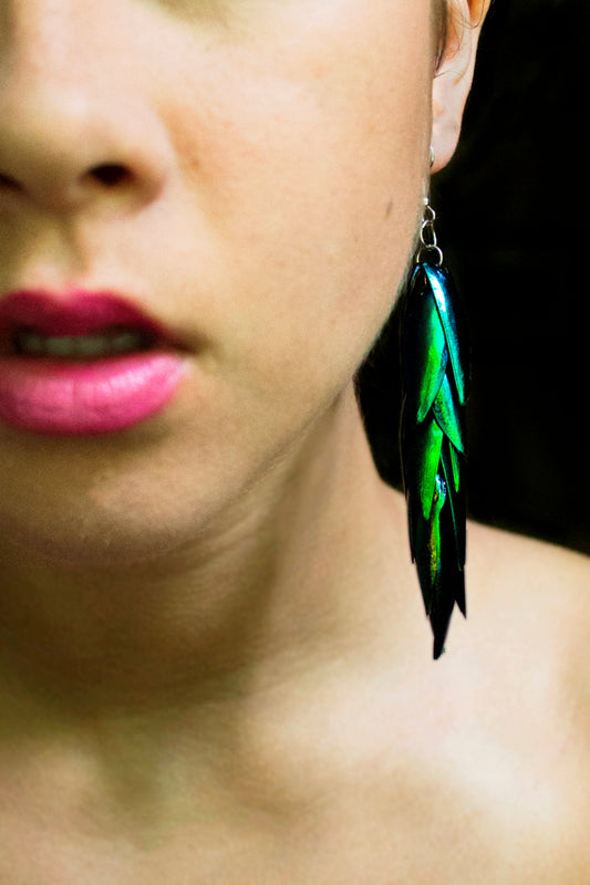 Real green beetle wing earrings, 3.5 inch medium size