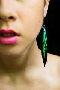 Real Beetle Wing Earrings - (3.5" long - medium size)