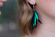 Load image into Gallery viewer, Real Beetle Wing Earrings - Regular Size
