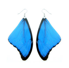 Load image into Gallery viewer, (LARGE SIZE) Real Blue Morpho Butterfly Wing Earrings
