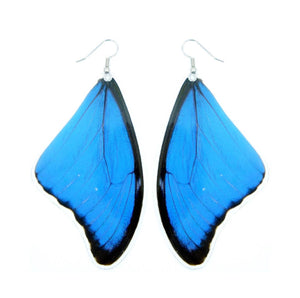 (LARGE SIZE) Real Blue Morpho Butterfly Wing Earrings