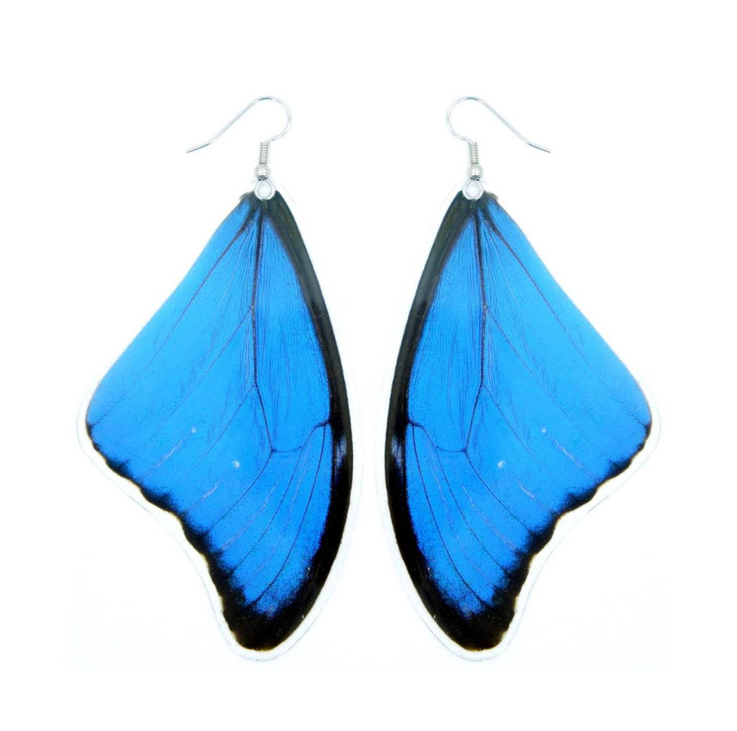 (LARGE SIZE) Real Blue Morpho Butterfly Wing Earrings