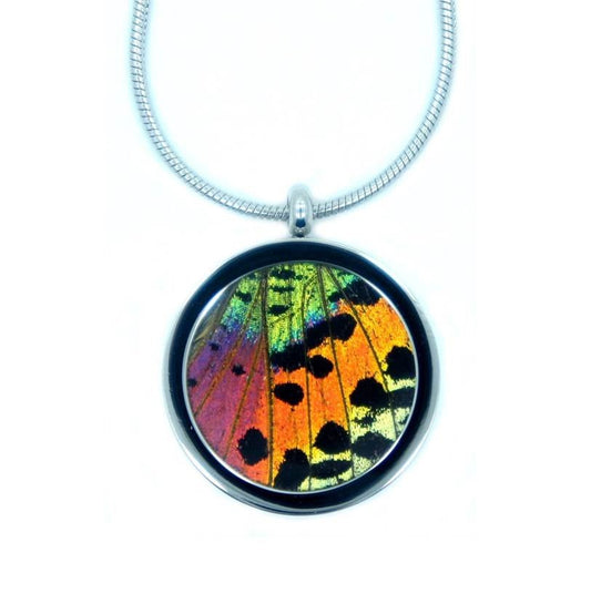 Real rainbow Sunset Moth wing in a round stainless steel pendant
