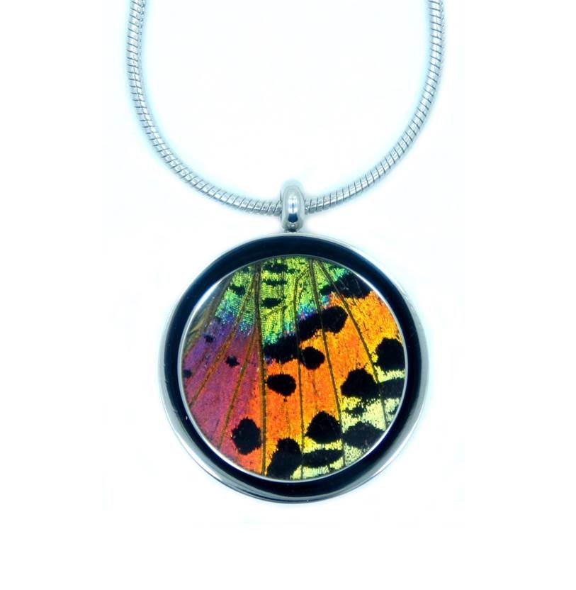 Real Butterfly Pendant Necklace - Rainbow Sunset Moth