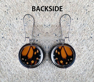 Pendant Butterfly Wing Earrings - Monarch Forewing Circle