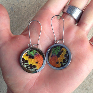 Pendant Butterfly Wing Earrings - Rainbow Sunset Moth Circle