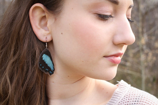 Papilio bromius wing earrings, alternate view