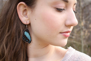 Real Butterfly Wing Earrings - Papilio Bromius