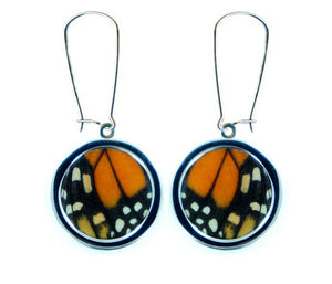 Pendant Butterfly Wing Earrings - Monarch Forewing Circle