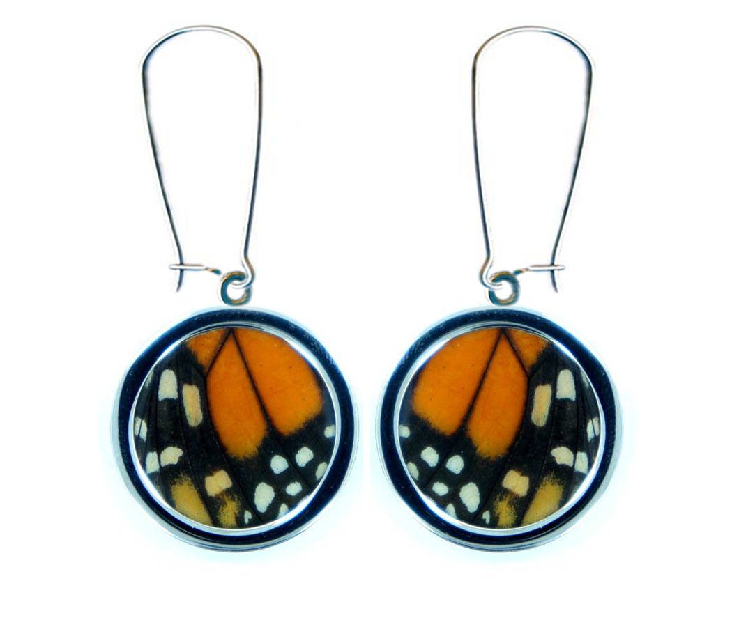 Pendant Butterfly Wing Earrings - Monarch Forewing Circle