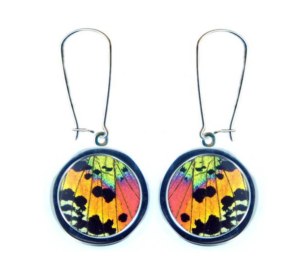 Pendant Butterfly Wing Earrings - Rainbow Sunset Moth Circle