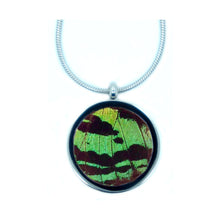 Load image into Gallery viewer, Real Butterfly Necklace Pendant - Green Sunset Moth
