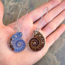 Load image into Gallery viewer, Real Ammonite Shell Drop Earrings
