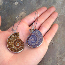 Load image into Gallery viewer, Real Ammonite Shell Drop Earrings
