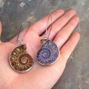 Real Ammonite Shell Drop Earrings
