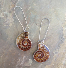 Load image into Gallery viewer, Real Ammonite Shell Drop Earrings
