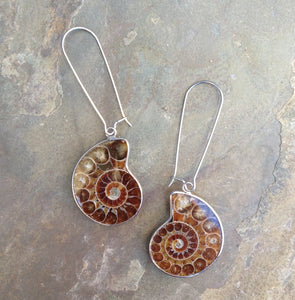 Real Ammonite Shell Drop Earrings