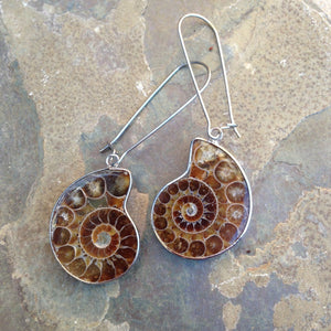 Real Ammonite Shell Drop Earrings