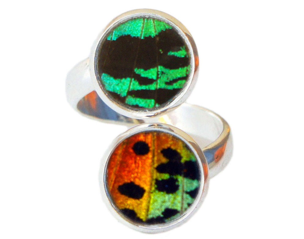Real Sunset Moth wings in a double pendant silver ring