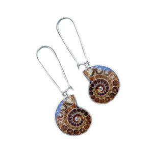 Real Ammonite Shell Drop Earrings